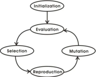 Figure 4-1: The basic loop of a genetic algorithm. 