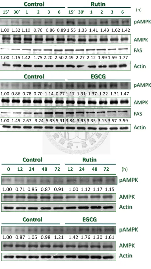 Figure 4 Inhibition of Glucolipotoxicity via AMPK activation  Fig. 4A 