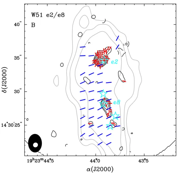 Figure 2.6 B ﬁeld maps of W51 e2/e8 from the SMA (red segments) at 870 μm and BIMA (blue segments) at 1.3 mm