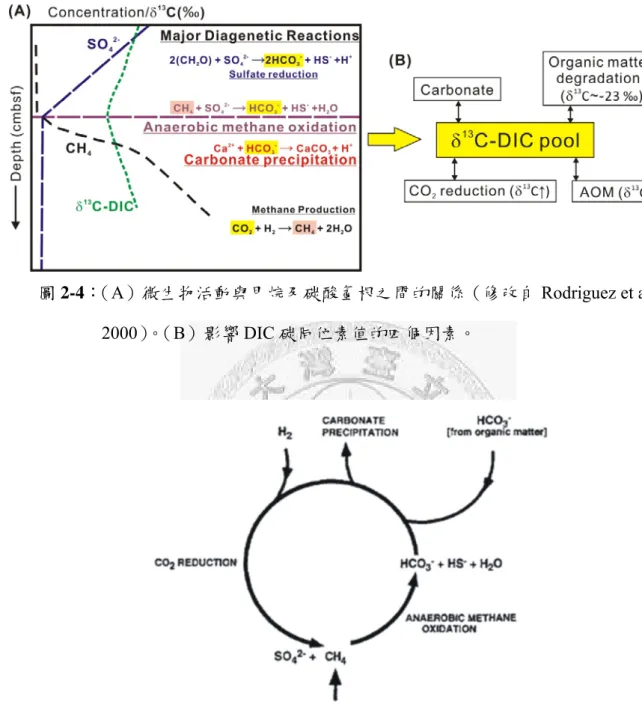 圖 2-5：Borowski et al.（1997）提出 SMT 附近之碳同位素循環是造成甲烷碳同 位素值有一低值之原因，此圖表碳循環過程。 