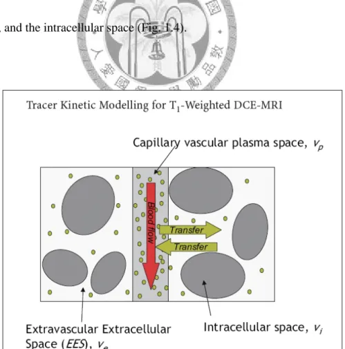Fig 1.4    Three compartments in tracer kinetic model. [2] 
