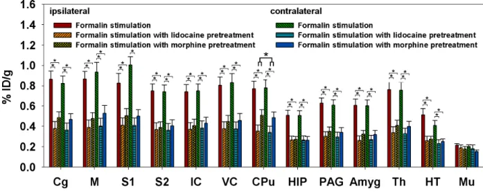Fig. 2-3-3. Effects of lidocaine and morphine pretreatments on formalin-induced metabolic changes