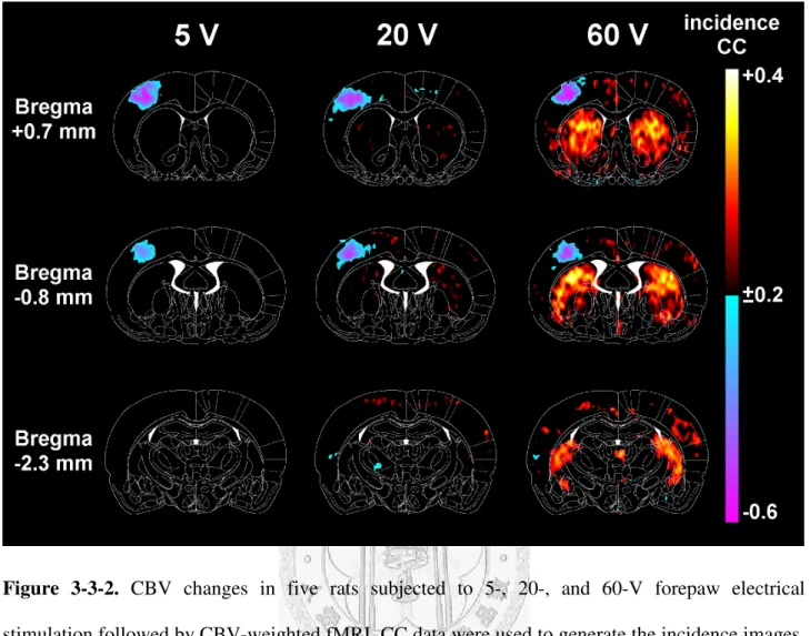 Figure  3-3-2.  CBV  changes  in  five  rats  subjected  to  5-,  20-,  and  60-V  forepaw  electrical  stimulation followed by CBV-weighted fMRI