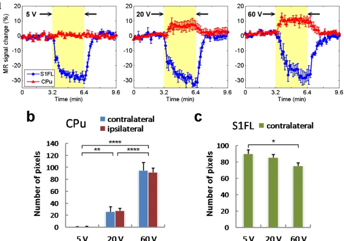 Figure  3-3-3.  MR  signal  changes  and  the  number  of  responsive  pixels  during  graded  electrical  stimulation