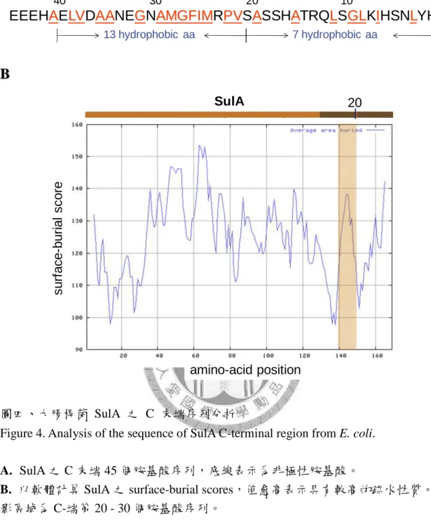 Figure 4. Analysis of the sequence of SulA C-terminal region from E. coli. 