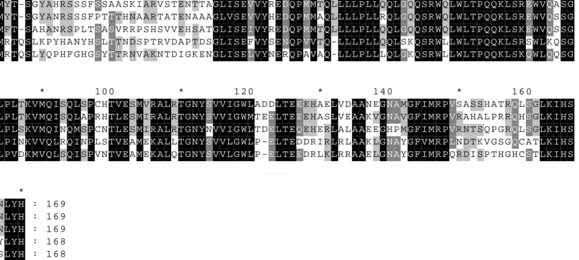 Figure 5. Alignment of E.coli SulA with similar SulA sequences in other enterobacterial species