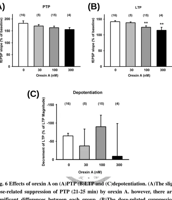 Fig. 6 Effects of orexin A on (A)PTP (B)LTP and (C)depotentiation. (A)The slightly  dose-related suppression of PTP (21-25 min) by orexin A