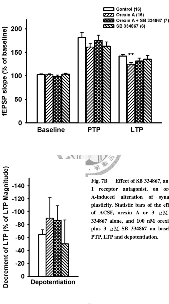 Fig. 7B      Effect of SB 334867, an OX  1 receptor antagonist, on orexin  A-induced alteration of synaptic  plasticity