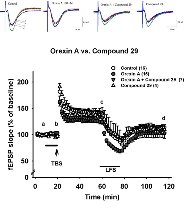 Fig. 8A   Effects of Compound 29, an OX 2 receptor antagonist, on orexin  A-induced alteration of synaptic plasticity