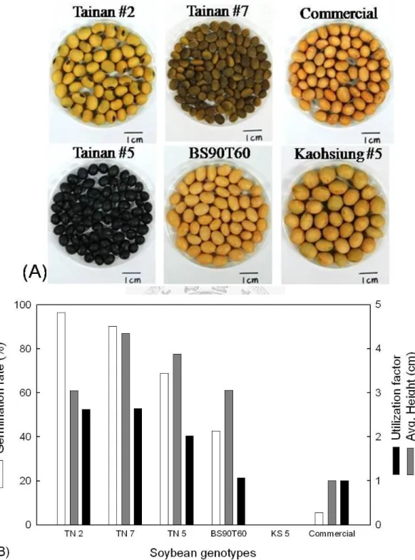 Figure 8  Soybean germination tests. (A) Seeds of 6 genotypes of soybean. (B) 