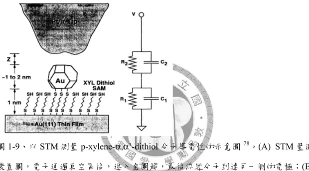 圖 1-9、以 STM 測量 p-xylene- α,α’-dithiol 分子導電性的示意圖 78 。(A) STM 量測 裝置圖，電子通過真空區後，進入金團簇，最後流經分子到達另一側的電極；(B) 迴路示意圖，以電阻和電容表示 STS 的電路，利用雙接面模型(double junction  model)解釋 I-V 曲線。  1996 年 Weiss 利用 STM 比較具硫醇基的共軛分子與飽和長烷鏈的電子傳遞能 力差異 38 ，原理如圖 1-10。他們在金 (111)的表面上形成正十二烷硫醇分子的SA