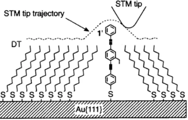 圖 1-10、STM 掃描混組裝 SAMs 的軌跡示意圖 38 。由於共軛分子較飽和烷鍵分子 導電的緣故，探針通過共軛分子時，探針的高度有所提昇。 