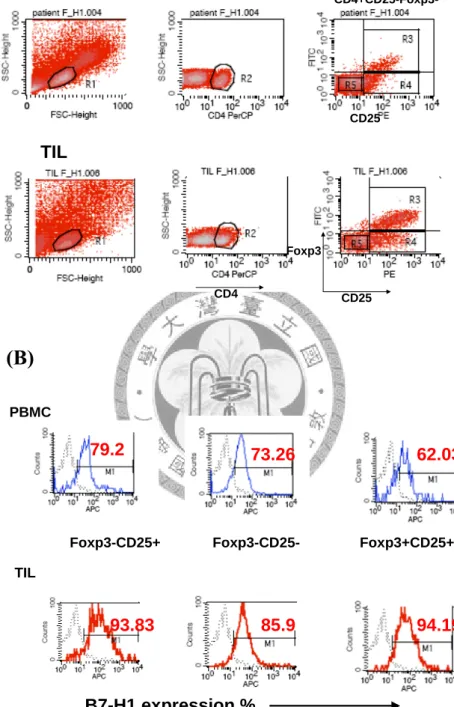圖 七 . PBMC 和 TIL 的  CD4+CD25+Foxp3+ 、 CD4+CD25+Foxp3- 、 CD4+CD25-Foxp3- T細胞之B7-H1共同抑制分子細胞群體表現百分比和平均細 胞螢光表現強度(A)PBMC和TIL經過CD4+和CD25、Foxp3細胞選取後，觀察B7-H1 的表現百分比和表現強度，(B)觀察B7-H1的表現百分比和表現強度，藍色實線是 PBMC，紅色實線是TIL，黑色虛線是isotype control，在很多病人個體都可以看到 TIL的百分比和表現強度皆有比PBM