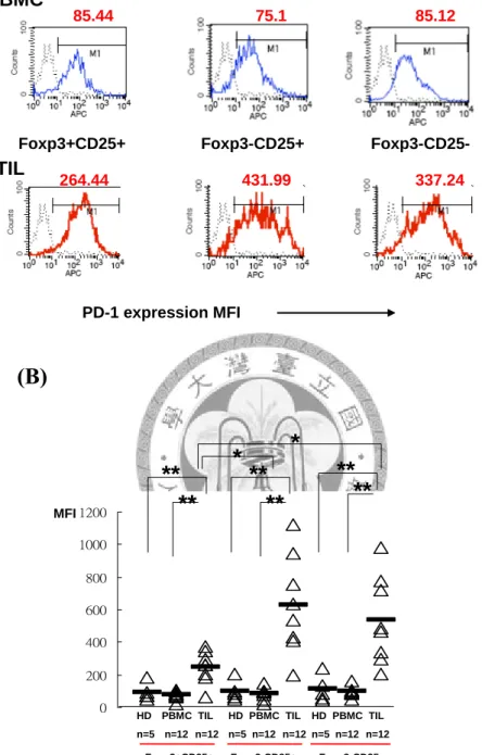 圖 九 .PBMC 和 TIL 的 CD4+CD25+Foxp3+ 、 CD4+CD25+Foxp3- 、 CD4+CD25-Foxp3- T細胞之PD-1共同抑制分子的細胞螢光表現強度  (A)經過 CD4、CD25和Foxp3的細胞選取後，觀察PD-1的表現，TIL的平均螢光表現強度 比 起 PBMC 皆 高 出 許 多 倍 (B) 經 過 統 計 八 個 病 人 的 結 果 後 ， 發 現 TIL  CD4+CD25+Foxp3+ 表 現 PD-1 的 強 度 比 起 CD4+CD25+Foxp3+ 