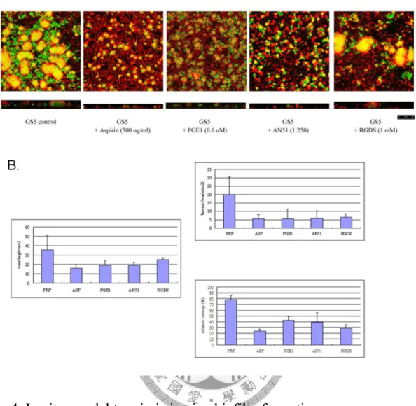 Fig 4. In vitro model to mimic in vivo biofilm formation. 