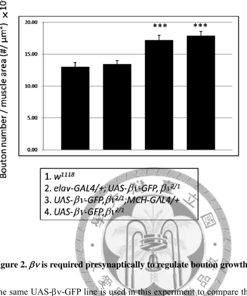 Figure 2.    is required presynaptically to regulate bouton growth. 