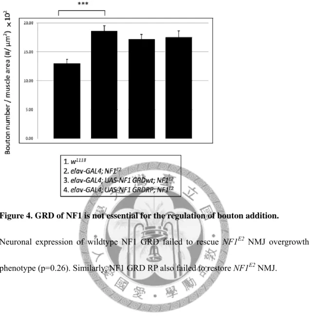 Figure 4. GRD of NF1 is not essential for the regulation of bouton addition. 