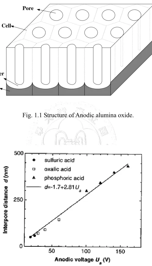 Fig. 1.1 Structure of Anodic alumina oxide. 