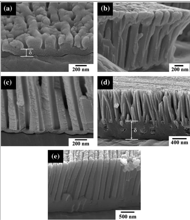 Fig. 1.6 SEM images of PAA obtained in 6 wt.% EGPA at 5 mAcm−2  and 298 K for (a) 71 s, (b) 300 s and (c) 600 s [17]