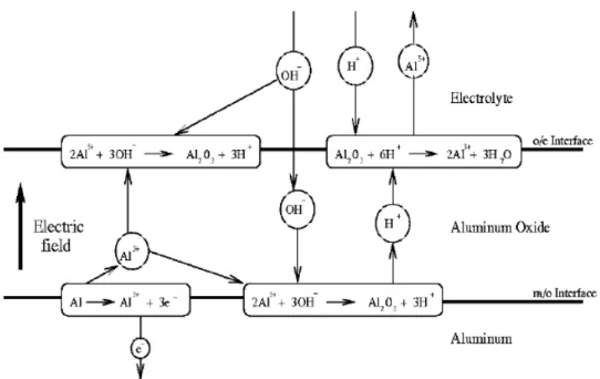 Fig. 1.7 Schematic diagram showing the electrochemical reactions and  ionic paths involved during anodization of aluminum [14]