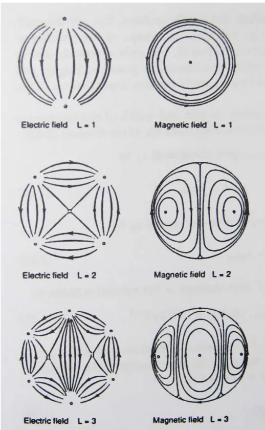 Fig. 1.12 Electric and magnetic fields far away from the clusters of L=1,  2, and 3 [22]