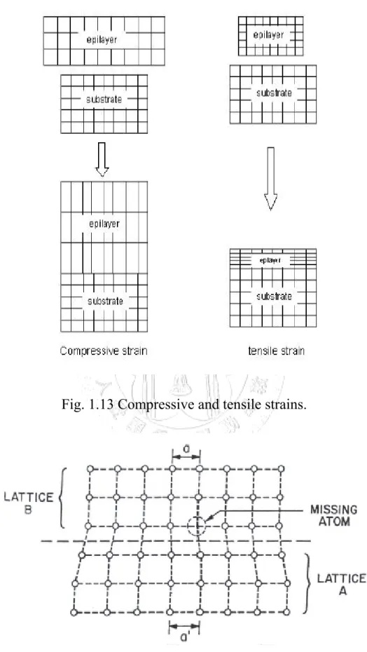 Fig. 1.13 Compressive and tensile strains. 