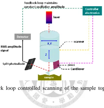 Figure  2.5  Feedback  loop  controlled  scanning  of  the  sample  topography  for  tapping  mode