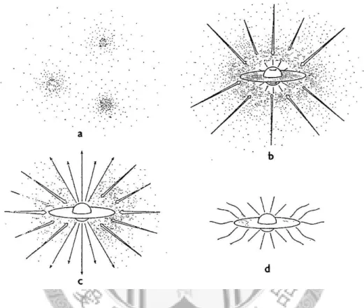 Figure 1.1: Four stages of star formation for single low-mass stars. (a) Mag- Mag-netic supported cores within molecular clouds slowly contract