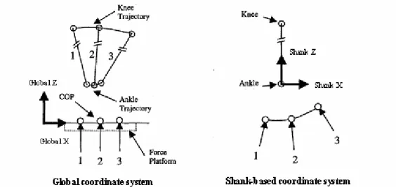 Figure 2.9 The transformation from the Global coordinate system to the  Shank-based coordinate system
