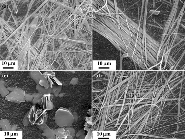 Fig. 4.4 As-prepared cerium hydrocarbonate fibrous precipitates with a [NaOH]/[C 6 H 8 O 7 ]  ratio of 0.6 (sample 1) aging for (a) 12 hr and (b) 60 hr, respectively, and ratio of 0.8  (sample 15) aging for (c) 24 hr and (d) 62 hr, respectively