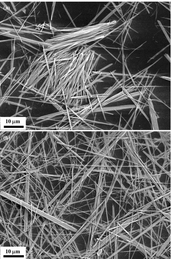 Fig. 4.5 SEM micrographs showing the fibrous microstructures of 20 mol% (a) Gd 3+