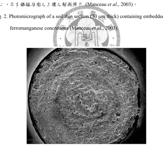 Fig. 3. Representative scanning electron photomicrograph image showing the internal  structure of a Fe-Mn nodule (Gasparatos et al., 2005)