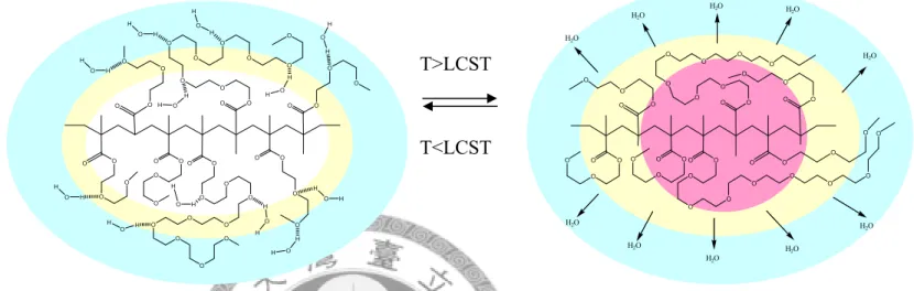 Fig. 2-8 Proposed mechanism for the temperature-induced phase transition for copolymers P(MEO 2 MA-co-OEGMA) in aqueous solution  (Lutz, 2008)   