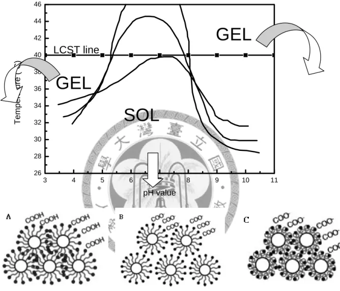 Fig. 2-12 The phase transition diagram in different condition for pH- and  temperature-sensitive copolymer 