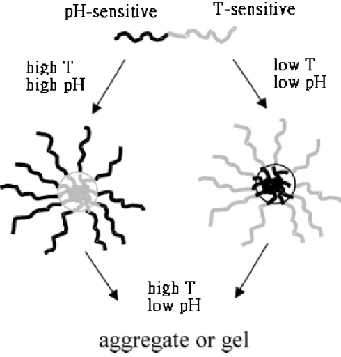 Fig. 2-13 The effect of environmental condition on core-shell structure         (Xu et al., 2007) 