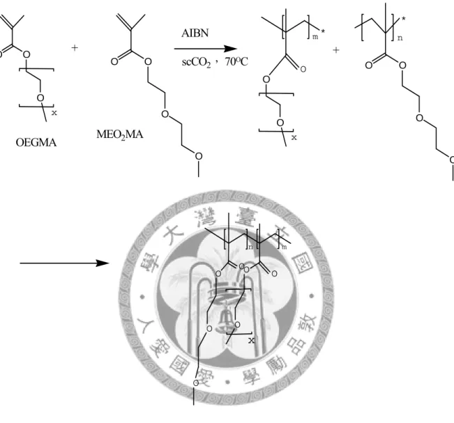 Fig. 4-1 Schematic diagram for the polymerization of P(MEO 2 MA-co-OEGMA) in  scCO 2OOOx OOO OOO On mxP(MEO2 MA-co-OEGMA)OEGMA *OmOOxAIBNscCO2， 70OC +OOOOMEO2MAPolymerization+ O O O O*n