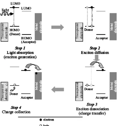 Figure 2.8 The simplified four basic steps of photocurrent generation in bulk  heterojunction based solar cells.[6]