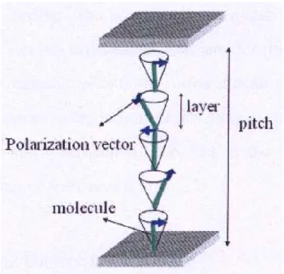 Figure 2.5 The schematic showing of smectic-C* liquid crystal phase. 