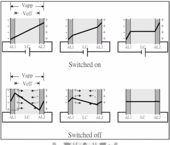 Figure 2.9 The ionic charges induced by an external field in LC cell.   