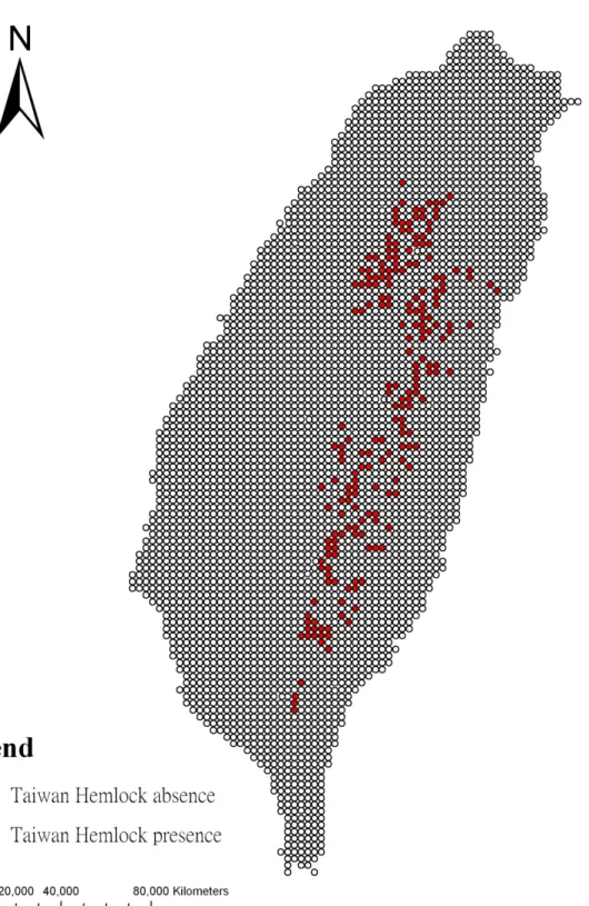 Figure 5. 212 occurrence and 3784 absence samples of Taiwan Hemlock from Third Forest Resource and  Land-Use Inventory (TFRLUI) 
