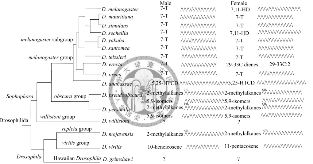 Fig 2.1. Comparison of the main CHs in Drosophilidae (Ferveur 2005; Wicker-Thomas 2007)