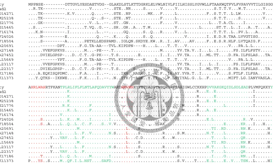 Fig 2.5. The alignment of Fad2 homolog amino acid sequences in Drosophila. Three histidine boxes are shown in red and four annotated  transmembrane domains are labelled in green