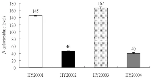 Fig. 2. Expression of two sets of clpQ + clpY + ::lacZ gene fusion, in a transcriptional  or a translational fusion type, with two different lengths of the clpQ +  promoter