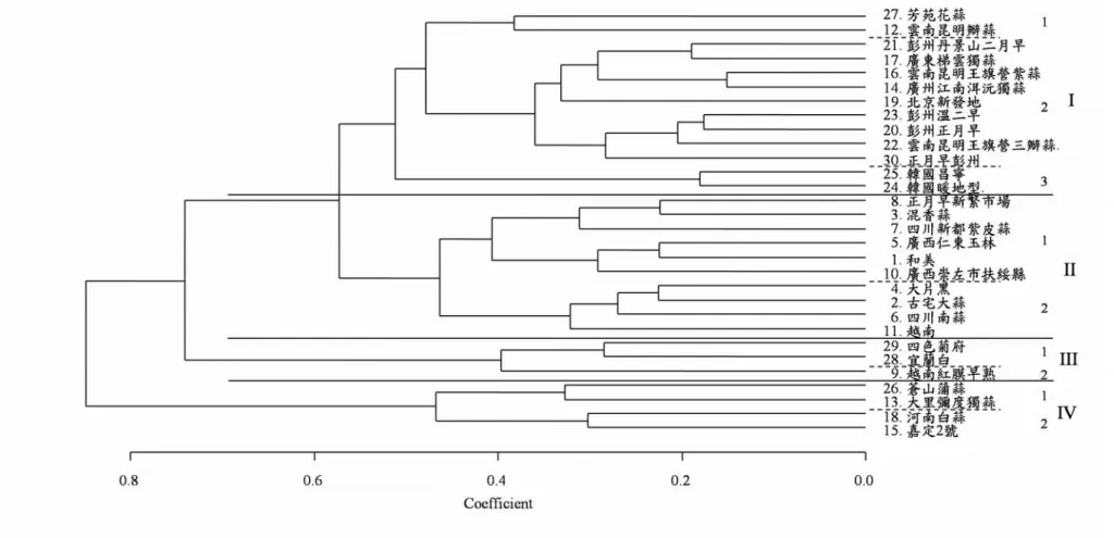 Fig. 2. The dengrogram of 30 tested garlic cultivars based on 11 horticulture characters