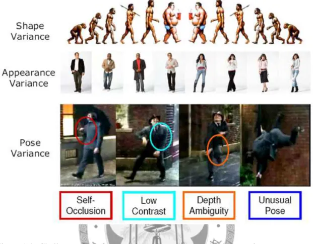 Figure 1.1: Challenges for human motion capture because of shape variance, appearance variance, pose variance and ambiguity with view dependence