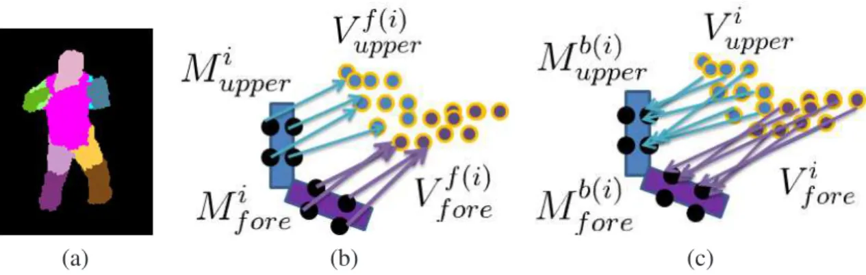 Figure 4.2: Voxel labeling and bidirectional points matching. (a) an example of labeled surface voxels; (b) forward directional points matching, from model surface samples to find the closest voxels labeled as this model; (c) backward directional points ma