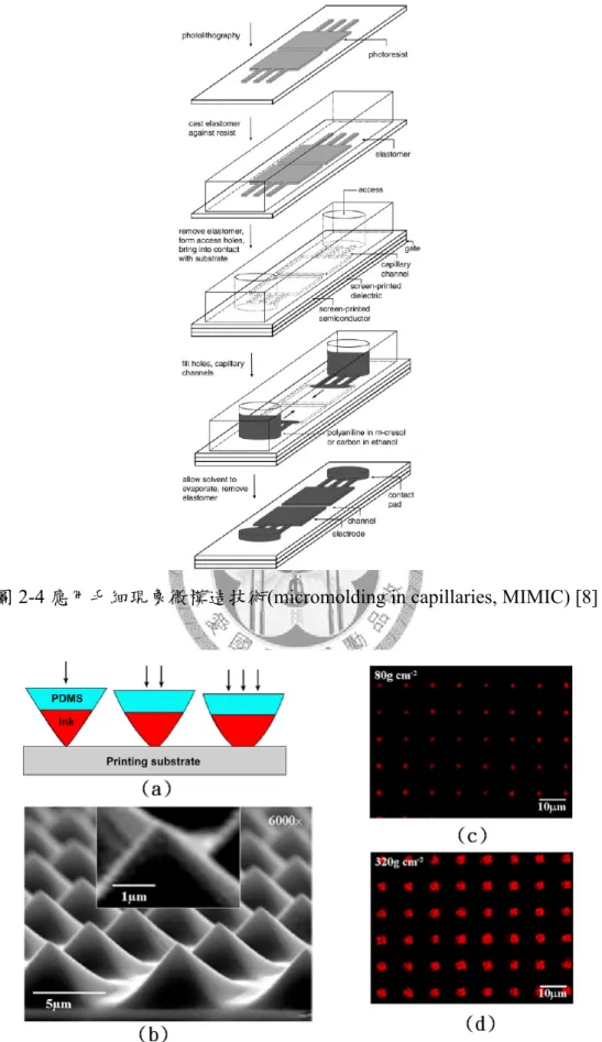 圖 2-4 應用毛細現象微模造技術(micromolding in capillaries, MIMIC) [8] 