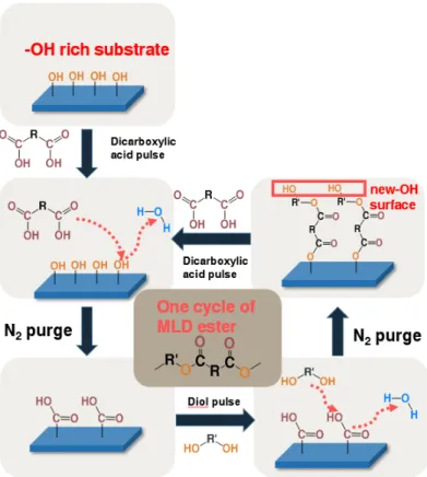 Figure 1.14: The schematic illustration of MLD polyester film growth mechanism. 