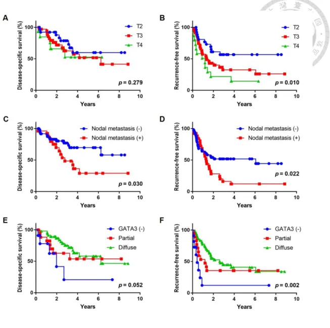Figure 7. Kaplan–Meier curves regarding the 78 patients with chemotherapy-naïve 