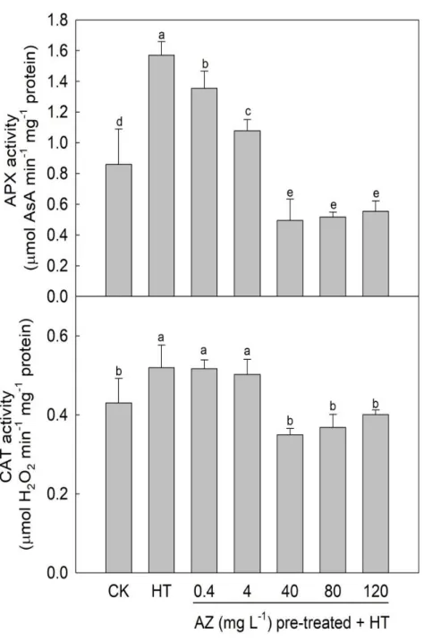 Figure 2- 4. The mean ± standard deviation (error bar) of ascorbate peroxidase (APX) and  catalase  (CAT)  activities  of  leaves  collected  from  wheat  seedlings  treated  with  azoxystrobin (AZ) and grown under the control (CK) or heated (HT) environme
